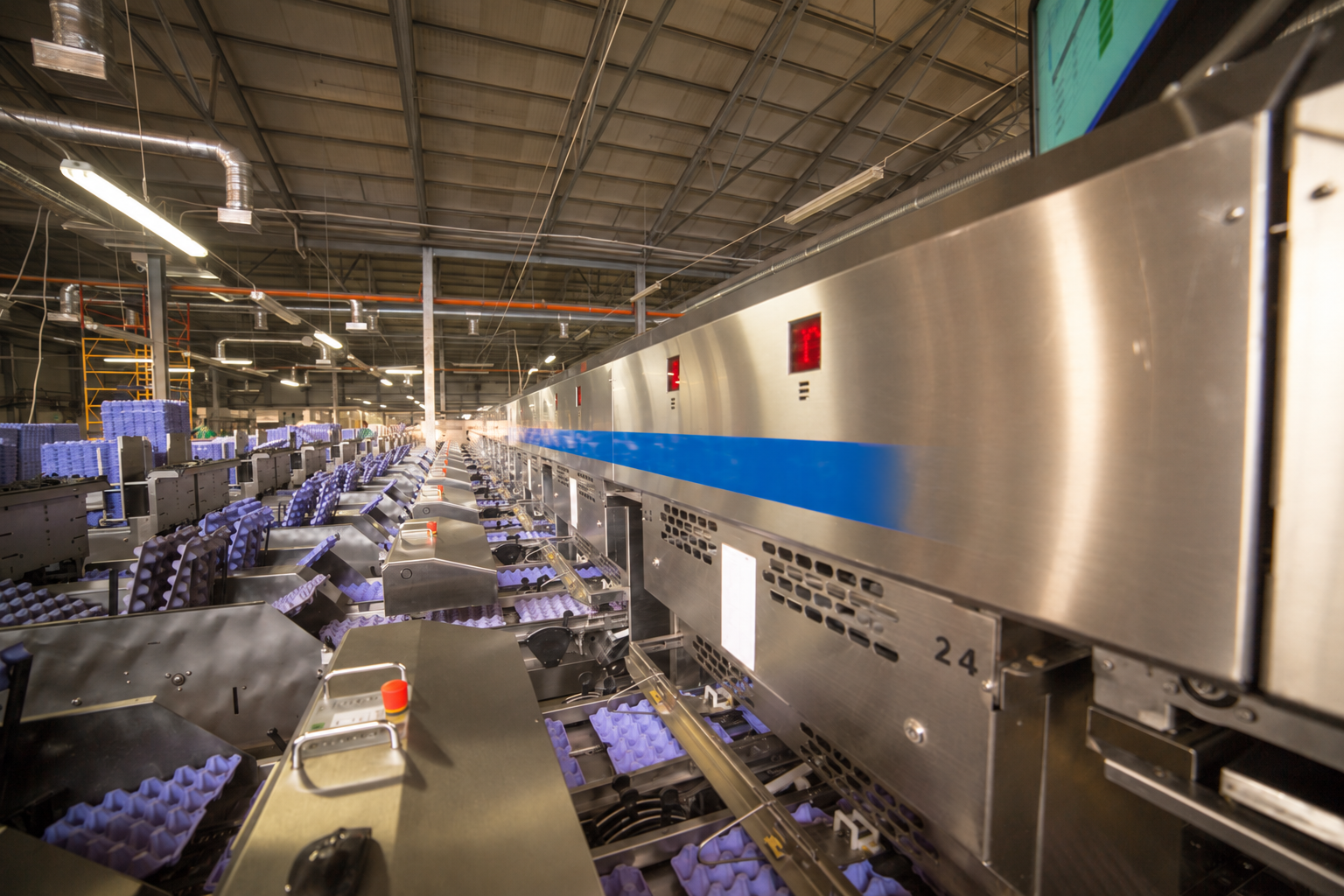 Tecnologia para produção e manejo de ovos comerciais