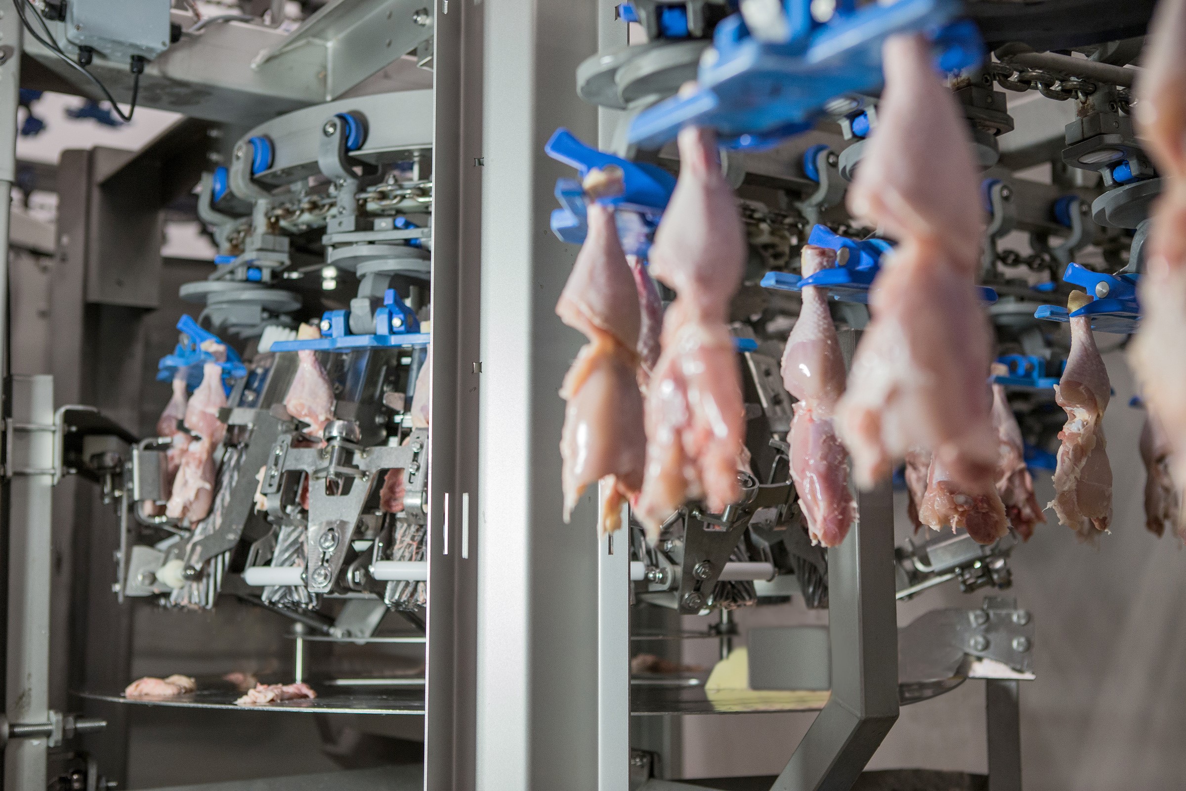 Instalações industriais de processamento de proteína animal